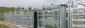 Heavy Duty Cattle Crush