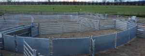 Sheep Yards
