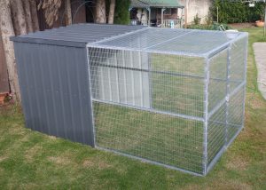 Single Dog Pen
