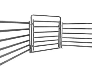 Standard Single Gate Set Up