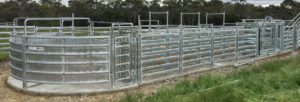 Brazzen Cattle Yard