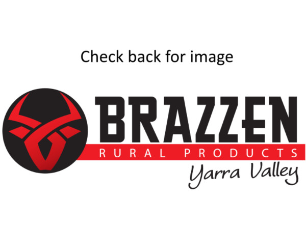 Brazzen Image Prending