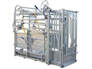 CCD Dairy Cattle Crush