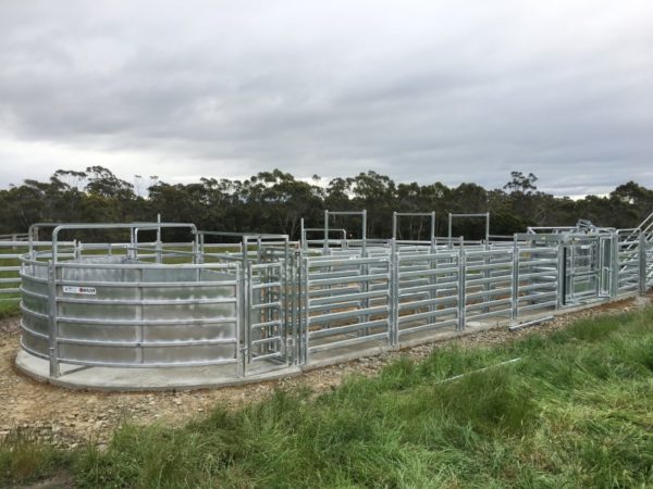 CFYB Standard Blind Cattle Force Yard 7