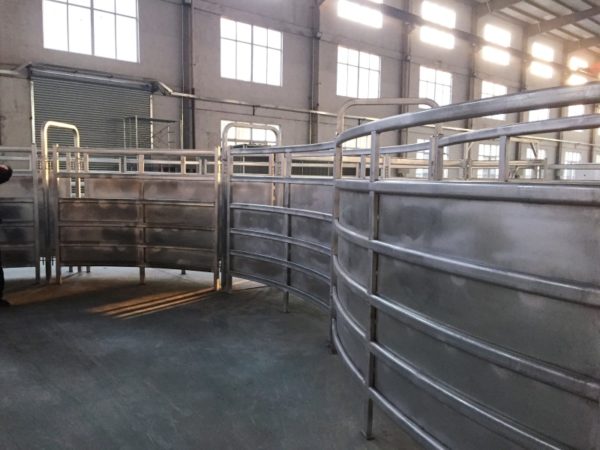 CPC Standard Curved Cattle Panel 2