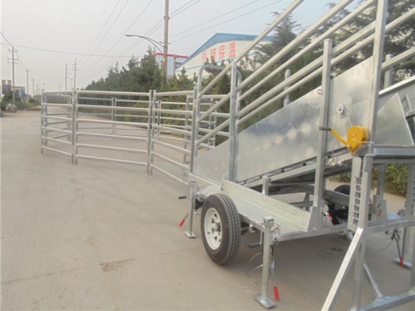 CRPM Premium Mobile Cattle Ramp 6