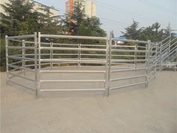 CRPM Premium Mobile Cattle Ramp 7